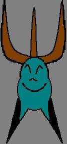 Bulbusser